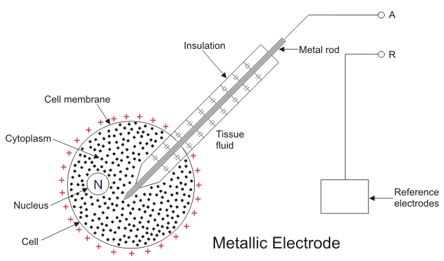 Electrodos utilizados en aplicaciones médicas