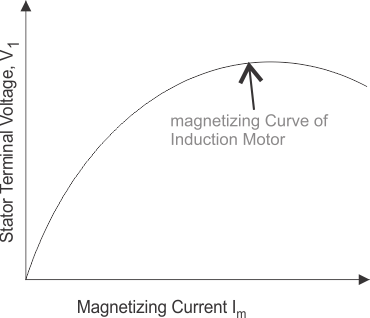 Generador de inducción | Aplicación del generador de inducción